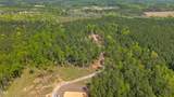 11.42 Acre Social Plain Road - Photo 10