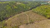 11.42 Acre Social Plain Road - Photo 5