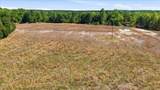 209 Buggy Street - Photo 14