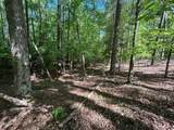 134 Red Dog Drive - Photo 10