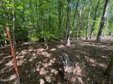 134 Red Dog Drive - Photo 7