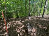 134 Red Dog Drive - Photo 8