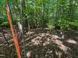 134 Red Dog Drive - Photo 9