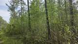 294 Hight Road - Photo 14