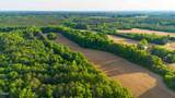 294 Hight Road - Photo 19