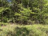 N/A Bethel South Fork Road - Photo 3