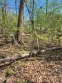 4222 Jeffries Road - Photo 4