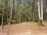 4 Plantation - Photo 2
