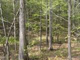 4 Plantation - Photo 7