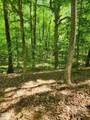 Lot 2 Lylas Lane - Photo 4
