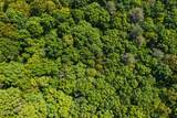 0000 Hawes Road - Photo 15