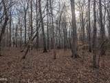 0 Dirgie Mine Road - Photo 2