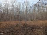 0 Dirgie Mine Road - Photo 3