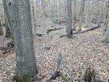 0 Sykes Road - Photo 30
