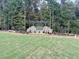 17 Firefly Overlook - Photo 8