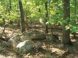Lot 1 Lodge Trail - Photo 4