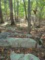 Lot 1 Lodge Trail - Photo 6
