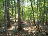 Lot 1 Lodge Trail - Photo 8