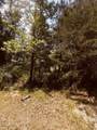 9224 Eisenhower Drive - Photo 8