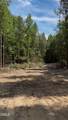 0-2 Nc 98 Highway - Photo 4