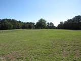 25 Bright Horizon Lane - Photo 11