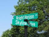 25 Bright Horizon Lane - Photo 15