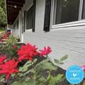 1412 Old Lystra Road - Photo 12