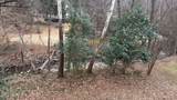 4212 Converse Drive - Photo 26