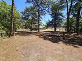 4603 Rosehill Road - Photo 28