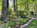 27425 Walker - Photo 52