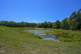 1183 Cottonsprings Drive - Photo 40