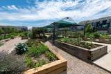 5218 Beardall Street - Photo 47