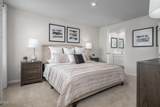 8529 Ladybug Drive - Photo 12