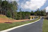 309 Diamond Bluff Lane - Photo 45