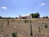 166 Batten Pond Road - Photo 13