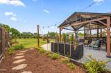 82 Farm Horse Trail - Photo 48