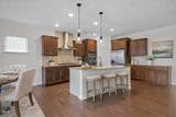 1559 Kythira Drive - Photo 30