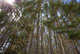 00 19 Acs Doll Branch Road - Photo 10