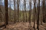 000 Doll Branch Road - Photo 17