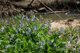 0 Doll Branch Road - Photo 27