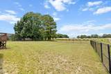167 Bridle Drive - Photo 41