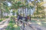 603 Gianna Drive - Photo 89