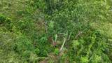 B3-65-73 Burchette Road - Photo 24