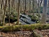 9035 New Sandy Hill Church Road - Photo 37