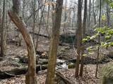 9035 New Sandy Hill Church Road - Photo 39