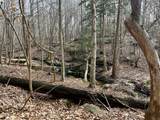 9035 New Sandy Hill Church Road - Photo 43