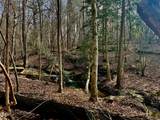 9035 New Sandy Hill Church Road - Photo 44