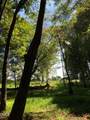 0 Cone Road - Photo 13