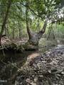 0 Beaver Dam Road - Photo 1