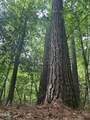 0 Beaver Dam Road - Photo 10